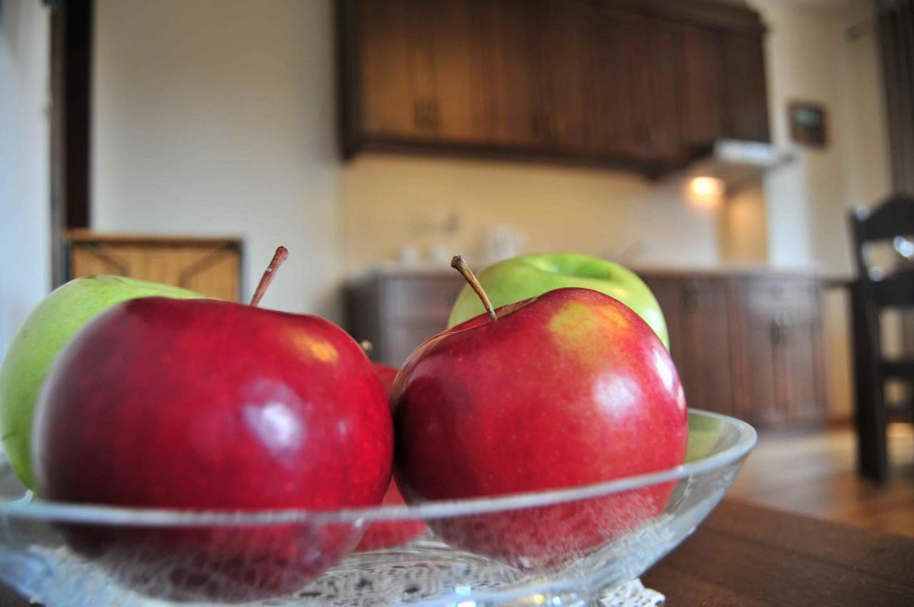 Willa Misiaga Apartamenty ムジャシフレ 部屋 写真